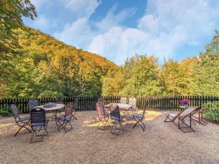Bright flat with terrace and sauna - Bad Harzburg - 8