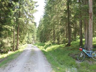 Apartment near the Halblech ski resort - Trauchgau - 8