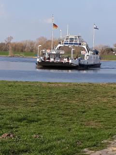 Ferienwohnung an der Elbe - Bleckede - 0