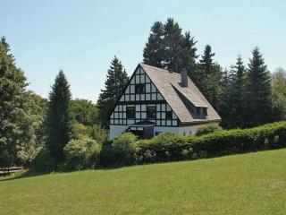 Idyllic holiday home near the ski area - Winterberg - 8
