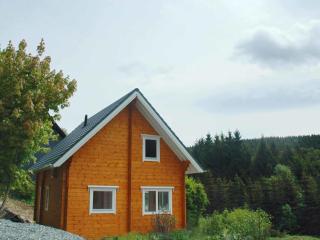 Detached holiday home with sauna - Medebach - 4