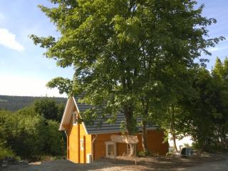 Detached holiday home with sauna - Medebach - 5