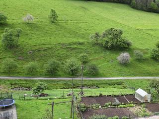 Idyllic holiday home with private terrace - Mühlenbach - 4