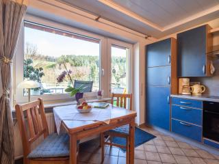 Apartment in the Odenwald with terrace - Mossautal - 3