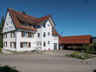Apartment in the Black Forest with terrace - Villingen-Schwenningen - 0