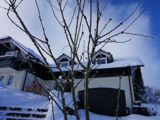 Apartment near the forest - Frauenwald - 3