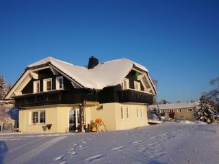 Apartment near the forest - Frauenwald - 2
