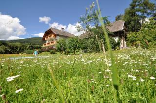 fanning 91 (zur Veitlerin) - 4