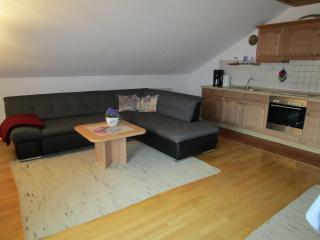 Apartment with a view of the Bavarian Alps - Ingenried - 8