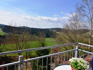 Flat with sauna in the Bavarian Forest - Waldkirchen - 5
