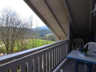 Flat with sauna in the Bavarian Forest - Waldkirchen - 9