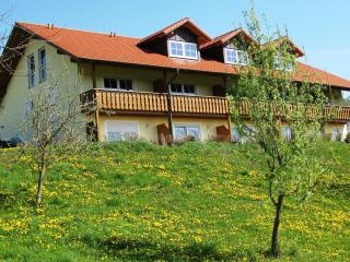 Apartment in Rotthalm nster with Garden - Andriching - 9