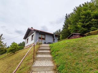 Holiday home in Thuringia near the lake - Langenbach - 3