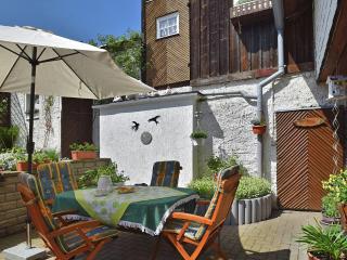Apartment in Thuringian Forest with garden - Oberweißbach - 0