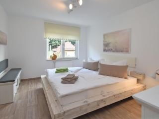 Apartment with sauna in Schönbrunn Thuringia - Schönbrunn - 2