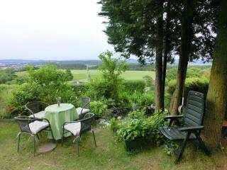 Holiday Home in Langewiesen - Langewiesen - 1