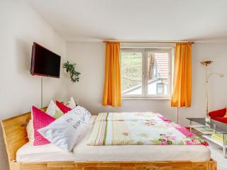 Holiday Home in Schleusegrund with Balcony - Langenbach - 3