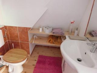 Apartment in Wildemann Harz near the ski area - Wildemann - 1