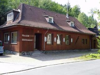 Apartment in Wildemann Harz near the ski area - Wildemann - 5