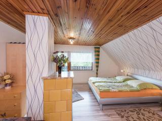 Holiday Home in Finsterbergen Forest Ski - Friedrichroda - 7