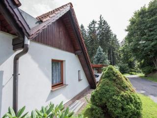 Holiday home in Thuringia with terrace - Friedrichroda - 8