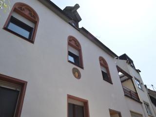 Lovely modern apartment, walking distance to Mosel - Zell an der Mosel - 9