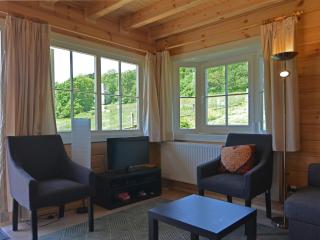 House near Willingen with Sauna - Medebach - 9