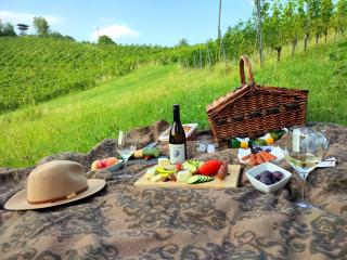 Weingut Winzerzimmer Rothschädl - Leutschach - 5