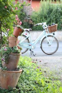 Ferienwohnung Gartenreich - Obereisenheim - 7