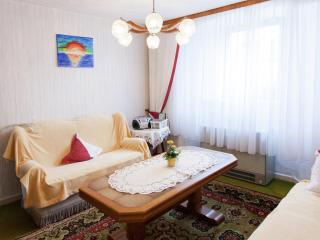 Holiday home in Sellerich with forest - Sellerich - 6