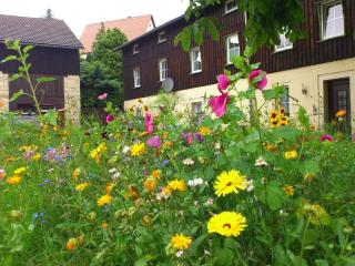 Modern Apartment in Weißig Saxony with garden - Struppen - 0