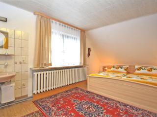 Flat near the forest in Frauenwald Thuringia - Frauenwald - 1