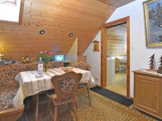 Flat near the forest in Frauenwald Thuringia - 6