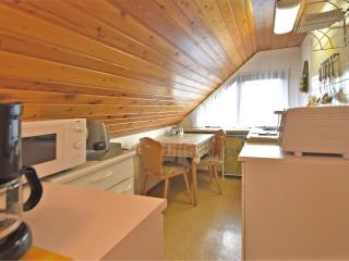 Flat near the forest in Frauenwald Thuringia - Frauenwald - 4