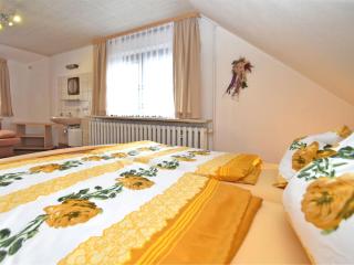 Apartment in Frauenwald near Rennsteig Trail - Frauenwald - 1