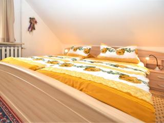 Flat near the forest in Frauenwald Thuringia - Frauenwald - 2