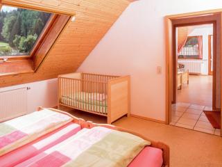 Apartment in Schuttertal near Black Forest - - 6