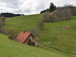 Cottage in Black Forest near ski slopes - Sankt Georgen im Schwarzwald - 2