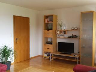 Apartment in Hauzenberg with private terrace - Hauzenberg - 4