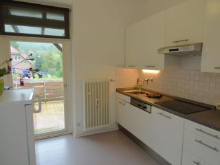 Holiday flat in Bad Pyrmont with balcony - Bad Pyrmont - 4