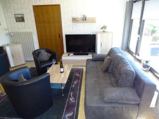 Holiday apartment near the Moselle with terrace - Wehr - 4