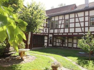 Apartment in Tabarz Thuringia near the forest - Tabarz - 8