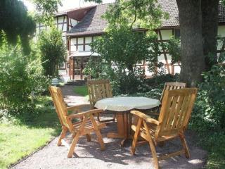 Apartment in Tabarz Thuringia near the forest - Tabarz - 7