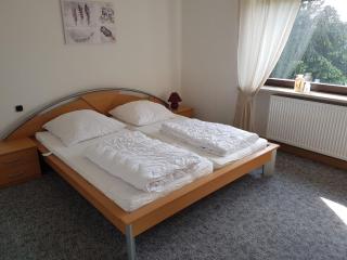 Holiday home in the Bavarian Forest - Schöfweg - 1