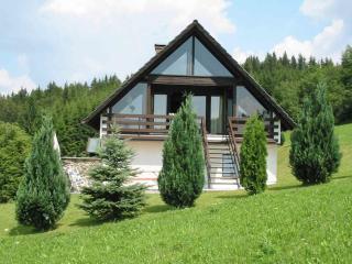 Holiday home in the Bavarian Forest - Schöfweg - 0