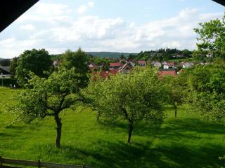 Holiday home in Waltershausen - Winterstein - 7