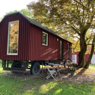 Schäferwagen auf dem Biogut-Saalkow - Gustow - 5