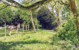 1 Bedroom Cozy Apartment In Vasteville - Vasteville - 7