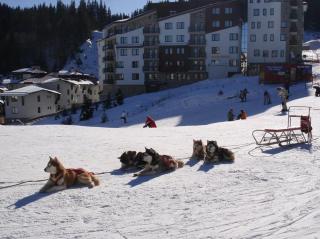 Vadjo Apartments in Complex Stenata Pamporovo - 6