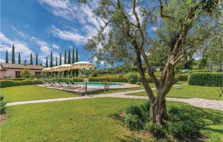 Ginestra - Montorgiali - 6